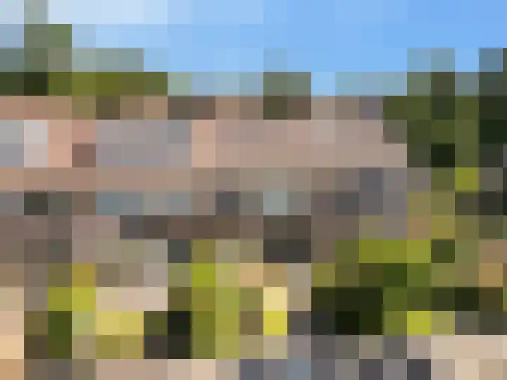 Koekoeksbloem 18 Castricum thumbnail 38