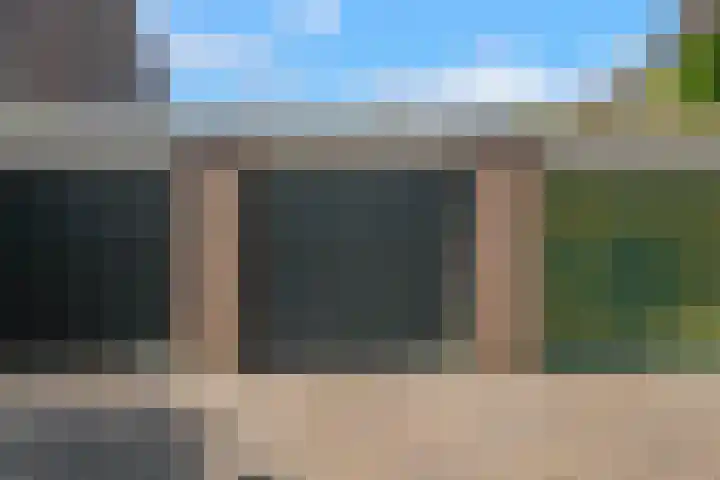 Koekoeksbloem 18 Castricum thumbnail 39