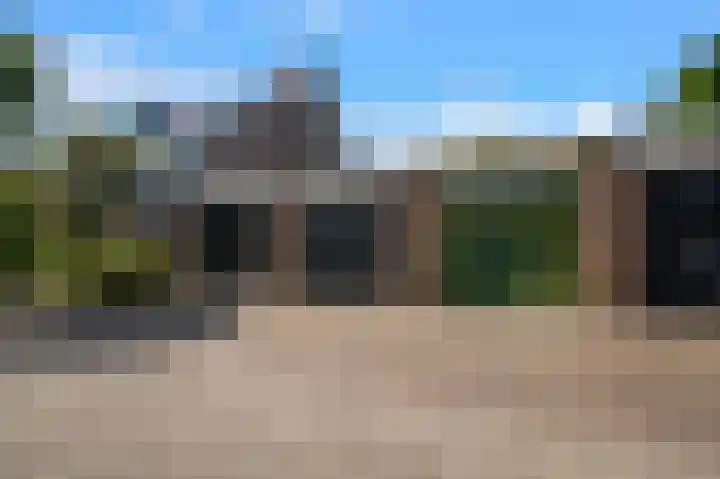 Koekoeksbloem 18 Castricum thumbnail 40