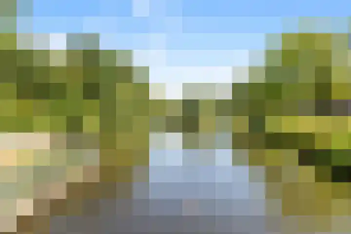 Koekoeksbloem 18 Castricum thumbnail 41