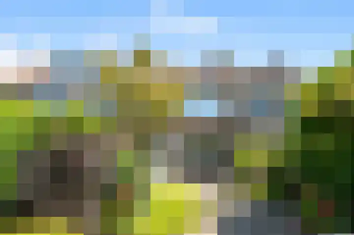 Koekoeksbloem 18 Castricum thumbnail 5
