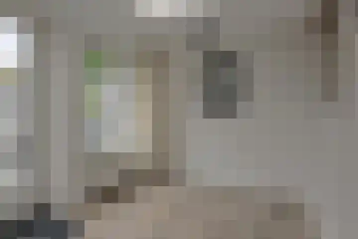Koekoeksbloem 2 Breda thumbnail 10