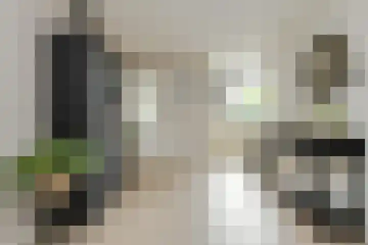 Koekoeksbloem 2 Breda thumbnail 13