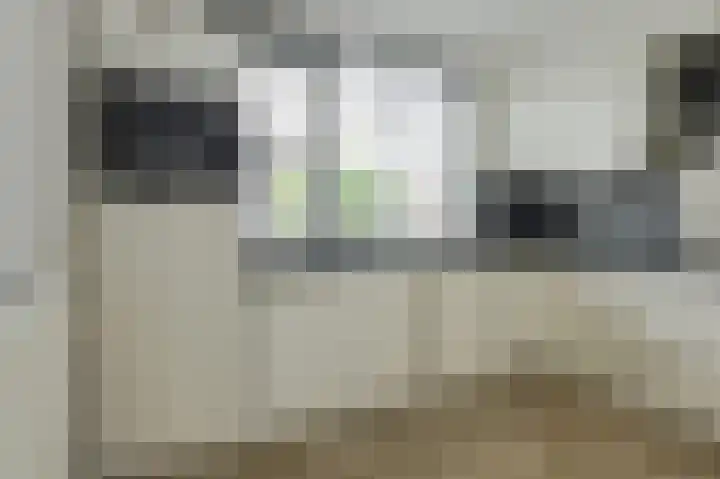 Koekoeksbloem 2 Breda thumbnail 14