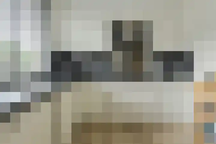Koekoeksbloem 2 Breda thumbnail 15