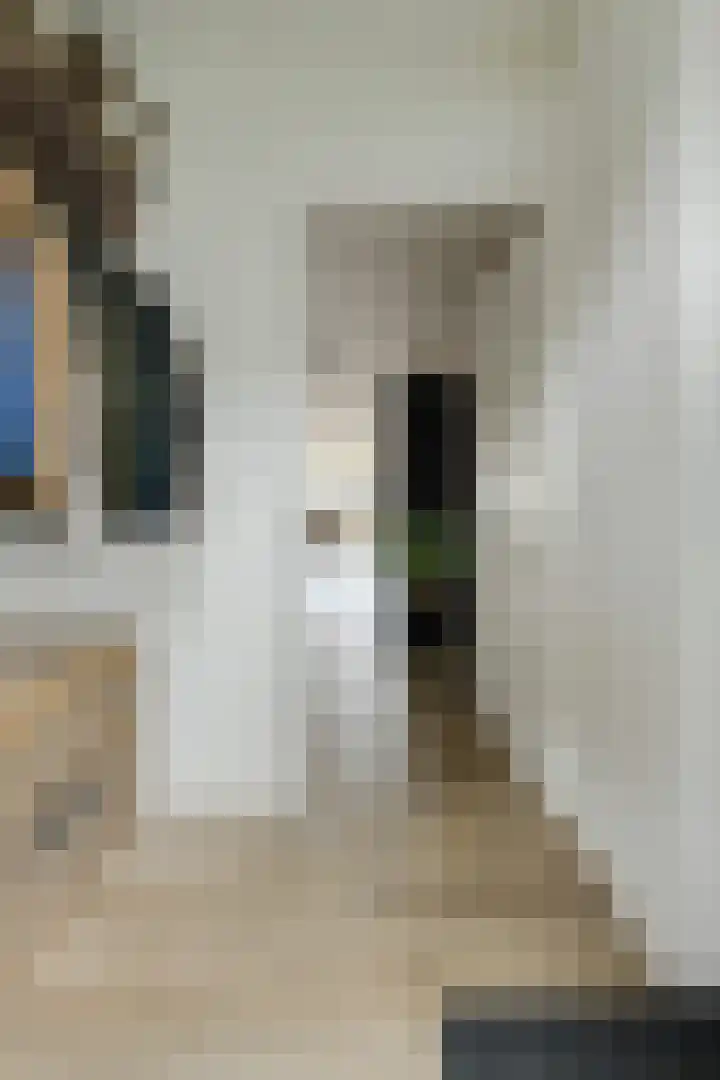 Koekoeksbloem 2 Breda thumbnail 18