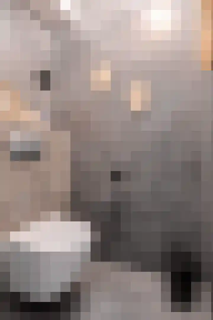 Koekoeksbloem 2 Breda thumbnail 20