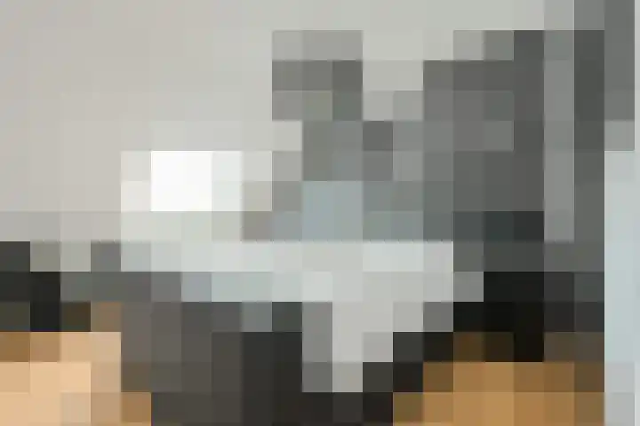Koekoeksbloem 2 Breda thumbnail 21