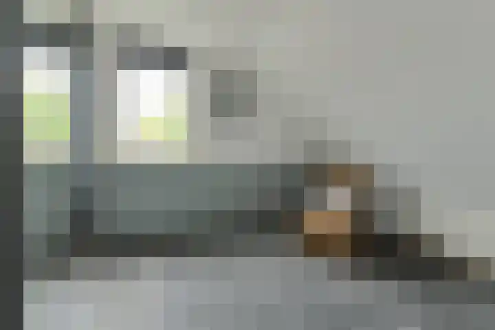 Koekoeksbloem 2 Breda thumbnail 26