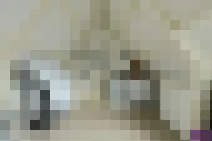 Koekoeksbloem 2 Breda thumbnail 30