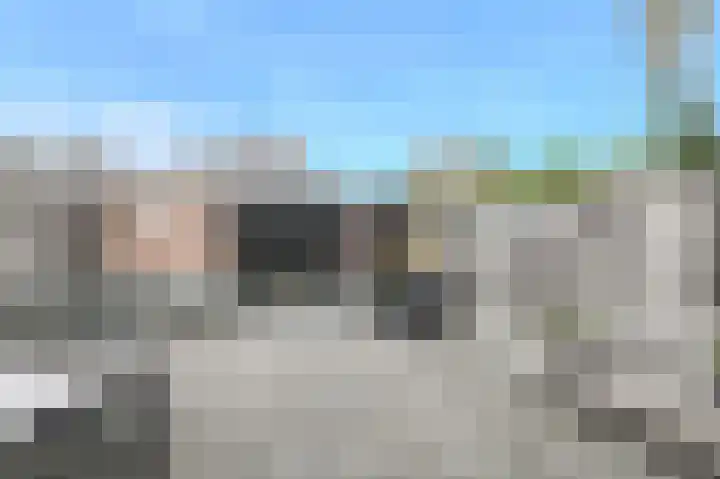 Koekoeksbloem 2 Breda thumbnail 31