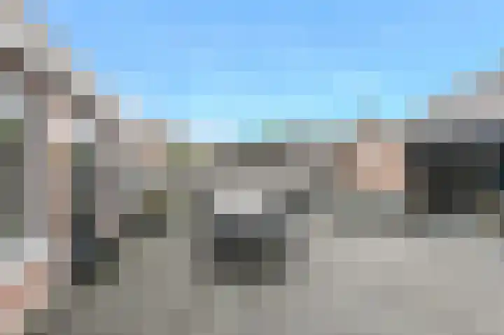 Koekoeksbloem 2 Breda thumbnail 32