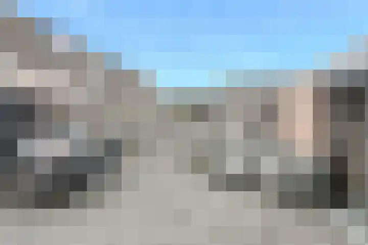 Koekoeksbloem 2 Breda thumbnail 33