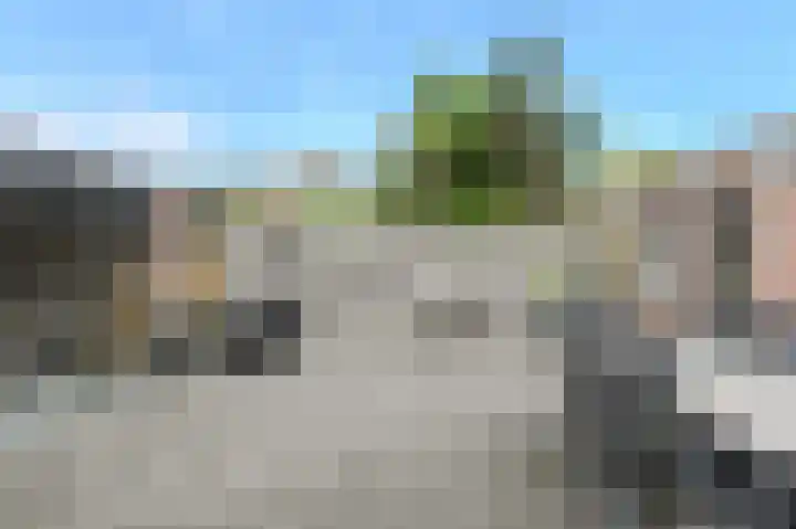 Koekoeksbloem 2 Breda thumbnail 34