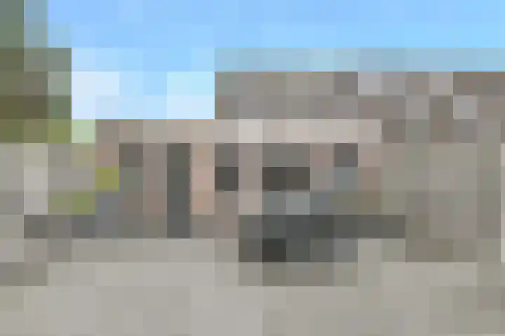 Koekoeksbloem 2 Breda thumbnail 38