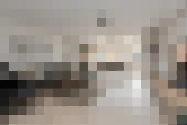 Koekoeksbloem 2 Breda thumbnail 4