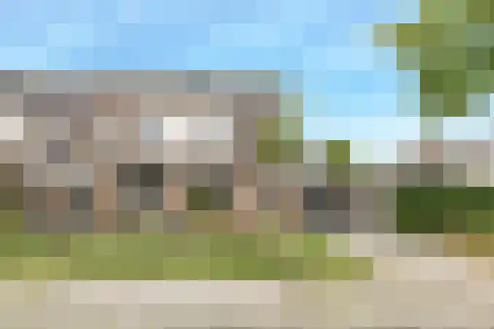 Koekoeksbloem 2 Breda thumbnail 40