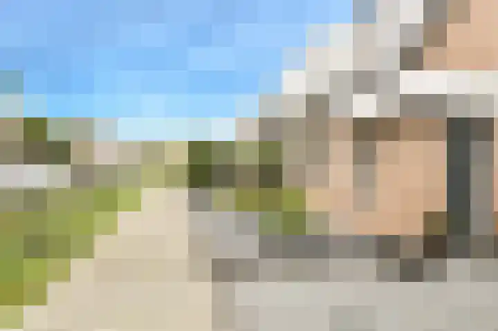 Koekoeksbloem 2 Breda thumbnail 41