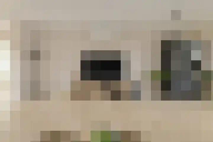 Koekoeksbloem 2 Breda thumbnail 6