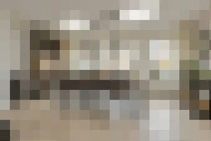 Koekoeksbloem 2 Breda thumbnail 7