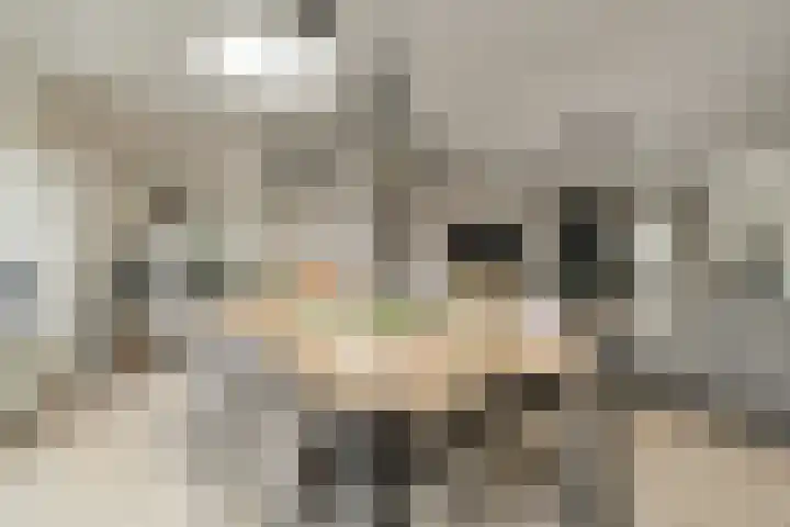 Koekoeksbloem 2 Breda thumbnail 9
