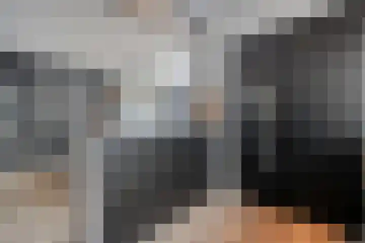 Koekoeksbloem 2 Hardenberg thumbnail 16