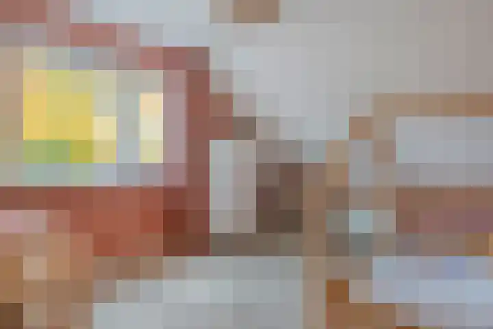 Koekoeksbloem 2 Hardenberg thumbnail 29