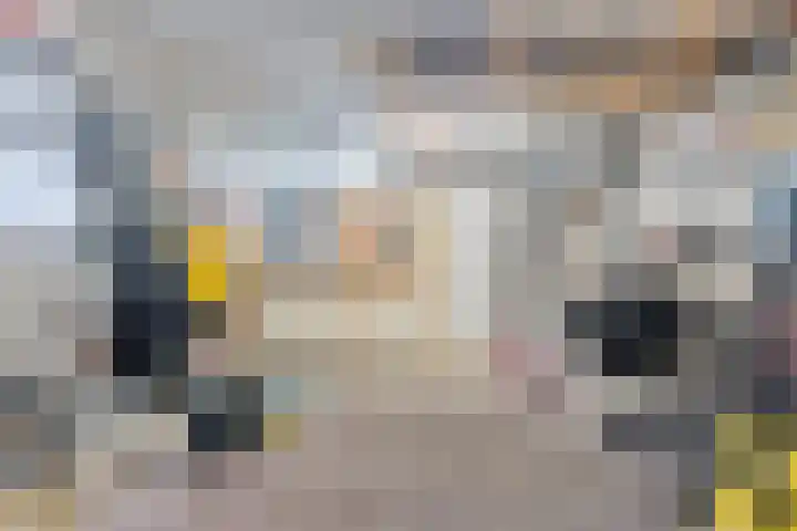 Koekoeksbloem 2 Hardenberg thumbnail 36