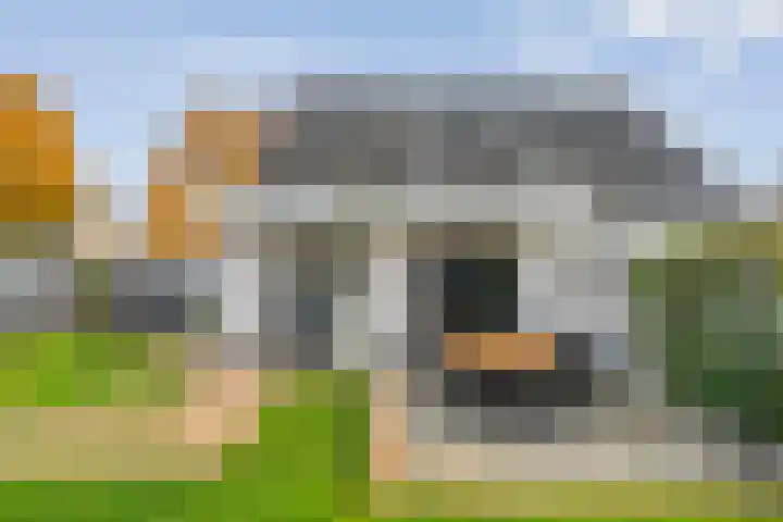 Koekoeksbloem 2 Hardenberg thumbnail 37