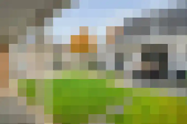 Koekoeksbloem 2 Hardenberg thumbnail 40