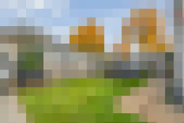 Koekoeksbloem 2 Hardenberg thumbnail 43