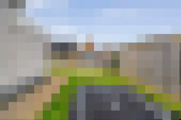 Koekoeksbloem 2 Hardenberg thumbnail 44
