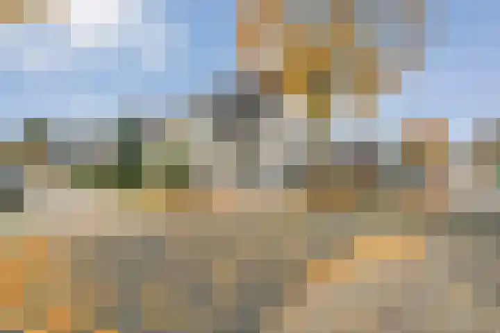 Koekoeksbloem 2 Hardenberg thumbnail 45