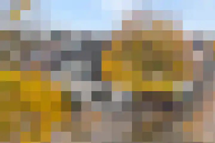 Koekoeksbloem 2 Hardenberg thumbnail 46