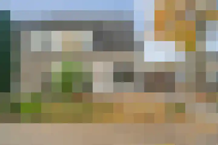 Koekoeksbloem 2 Hardenberg thumbnail 47