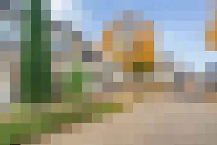Koekoeksbloem 2 Hardenberg thumbnail 48