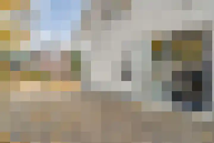 Koekoeksbloem 2 Hardenberg thumbnail 49