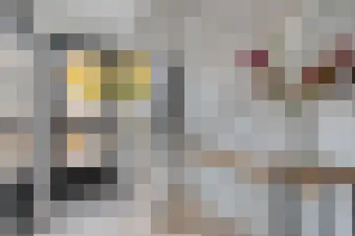 Koekoeksbloem 2 Hardenberg thumbnail 5