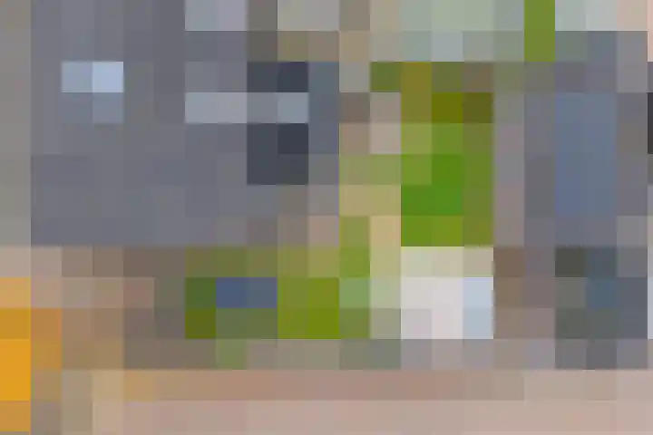 Koekoeksbloem 2 Hardenberg thumbnail 50