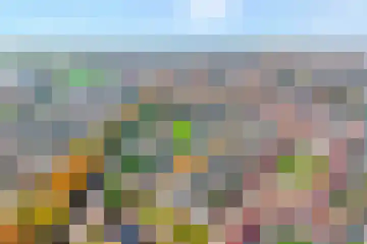 Koekoeksbloem 2 Hardenberg thumbnail 51