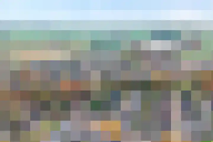 Koekoeksbloem 2 Hardenberg thumbnail 52