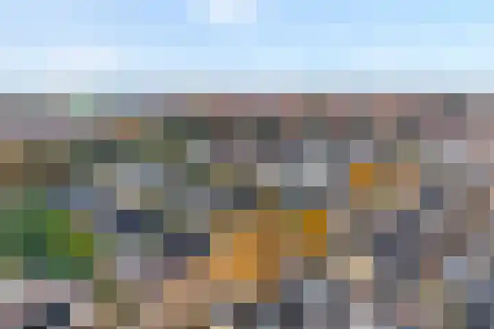 Koekoeksbloem 2 Hardenberg thumbnail 53