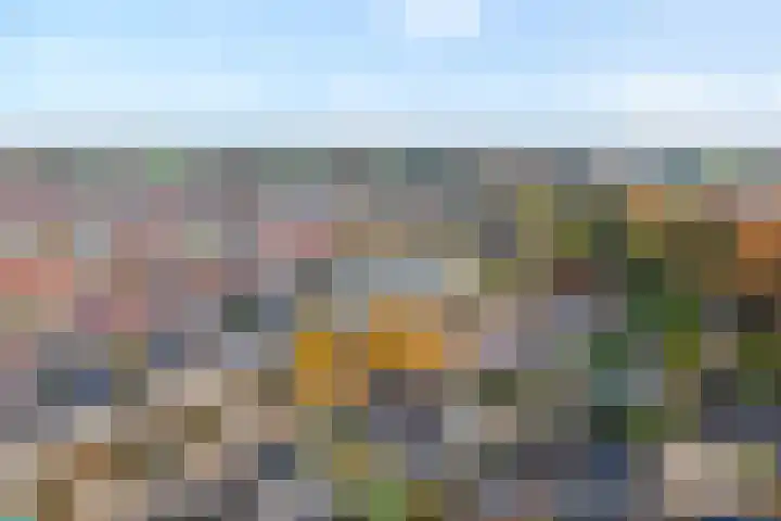 Koekoeksbloem 2 Hardenberg thumbnail 54