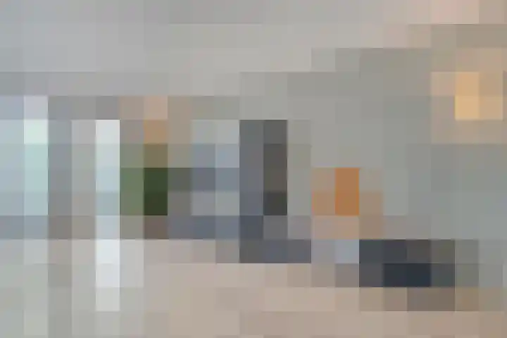 Koekoeksbloem 2 Hardenberg thumbnail 7