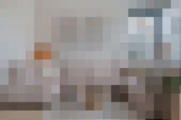 Koekoeksbloem 2 Hardenberg thumbnail 9