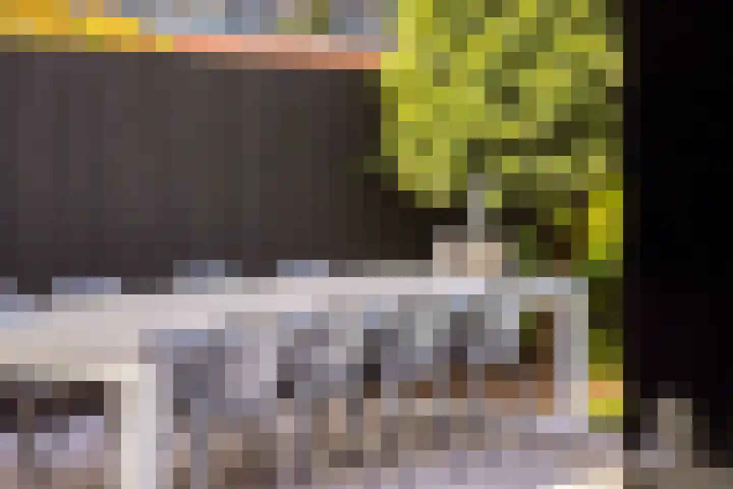 Koekoeksbloem 2 Heerjansdam thumbnail 11