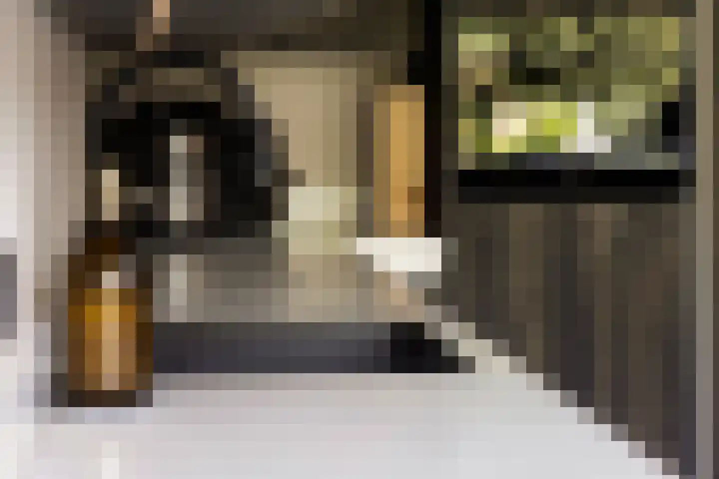 Koekoeksbloem 2 Heerjansdam thumbnail 15