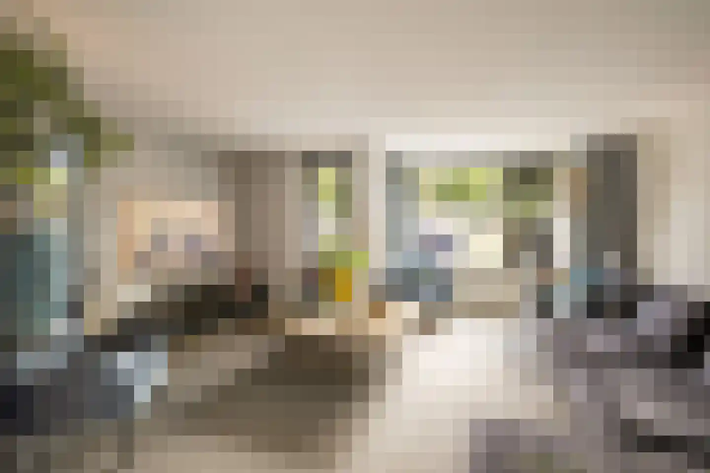 Koekoeksbloem 2 Heerjansdam thumbnail 18