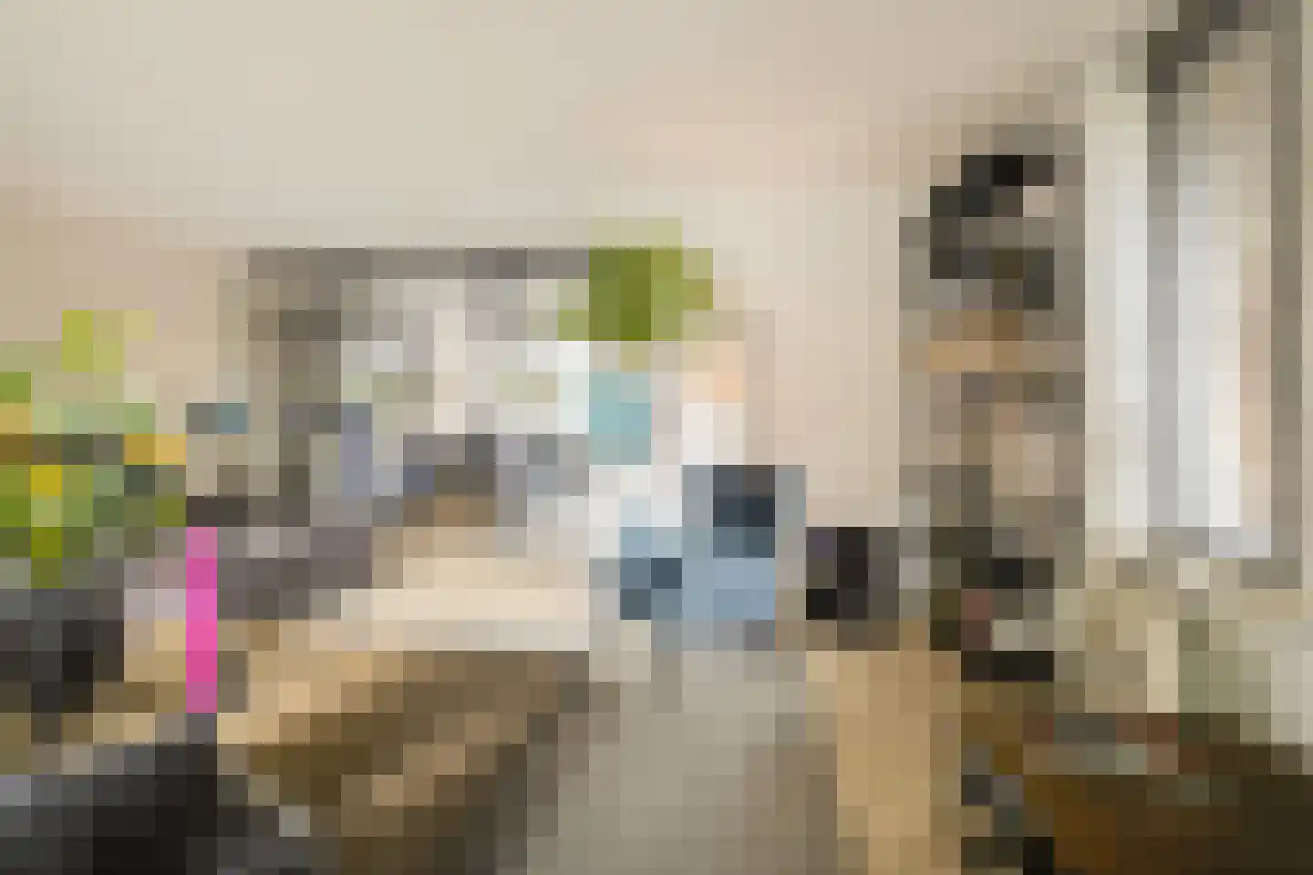 Koekoeksbloem 2 Heerjansdam thumbnail 22