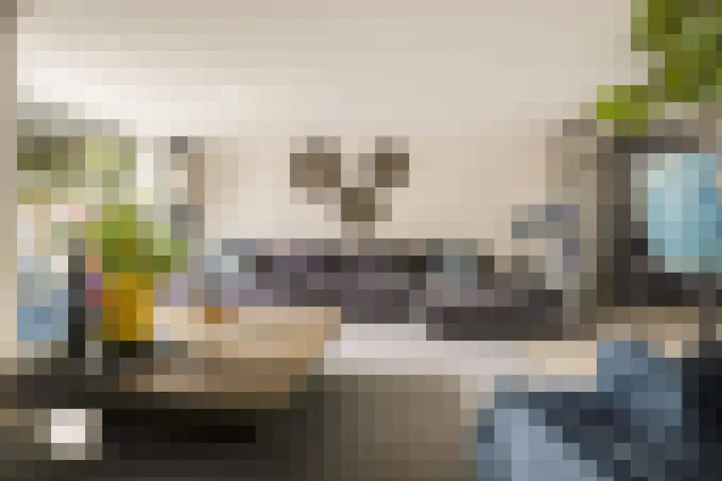 Koekoeksbloem 2 Heerjansdam thumbnail 24